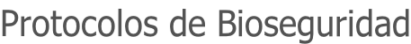 Protocolos de Bioseguridad